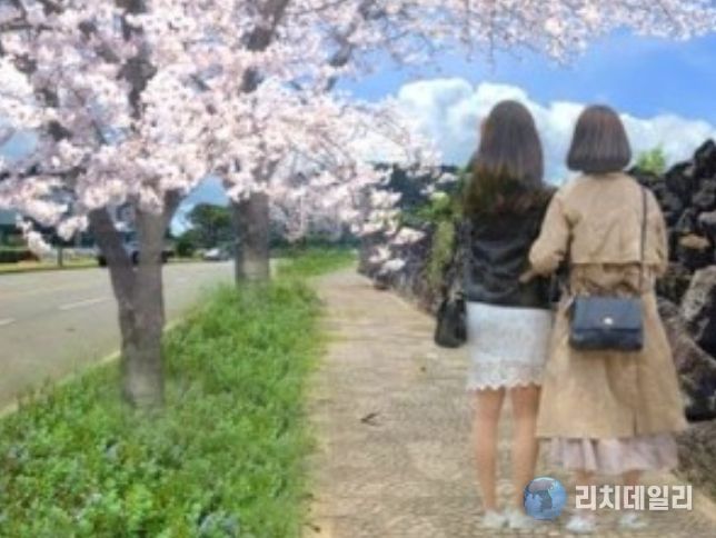 김녕남2길 조성 예시(조감도)