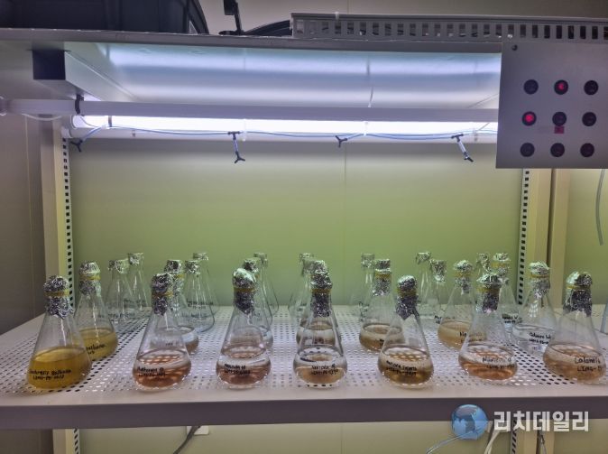 전복 종자 살리는 '첫 밥상' 규조류 무상 공급