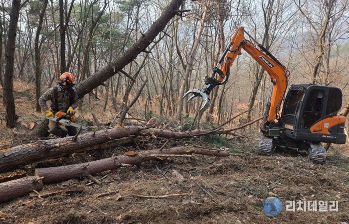 소나무재선충병 방제사업 현장사진