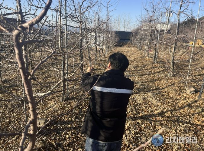 과수화상병 예찰 및 약제 배부