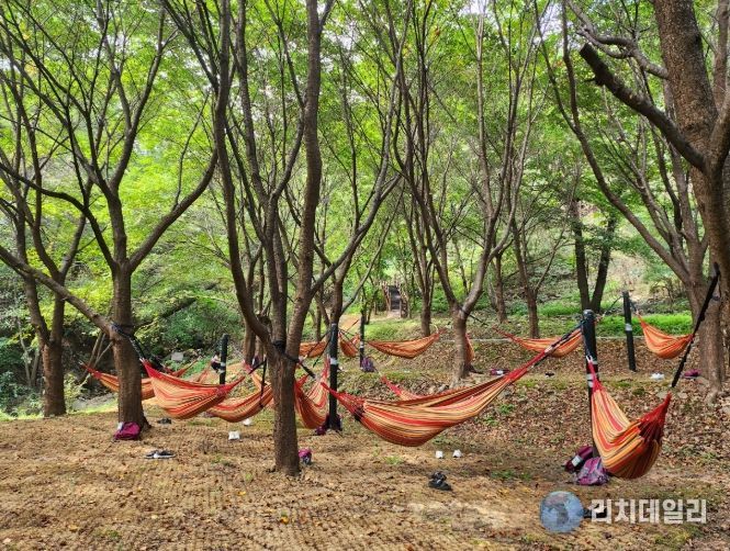 증평 좌구산 자연휴양림, 한국관광공사 우수 웰니스 관광지 재지정