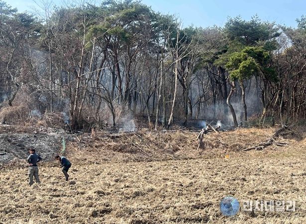 산불 현장 사진(남원시 아영면 월산리)