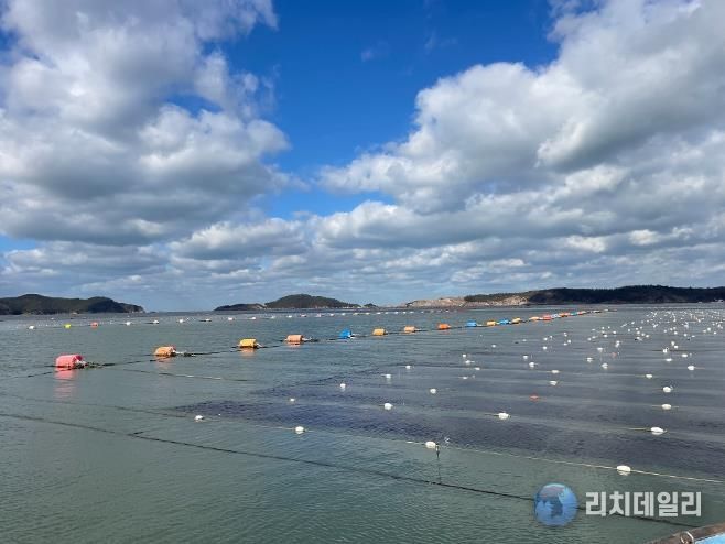 김 양식장 사진