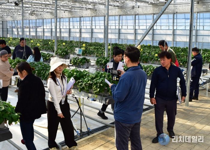 스마트팜 실증 현장평가
