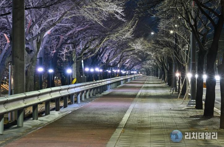원당천 야간경관 개선공사를 완료했다