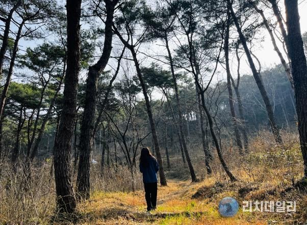 국립나주숲체원, 봄맞이 걷기 숲길 추천