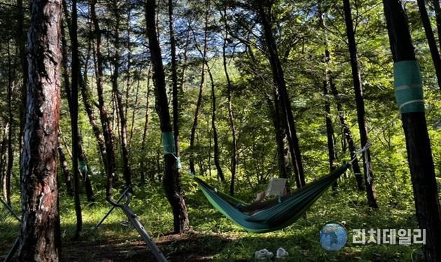 산림치유프로그램 운영 사진. 국립나주숲체원 화순치유의숲 제공