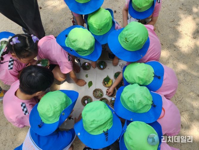 남산유아숲체험원에서 배워요