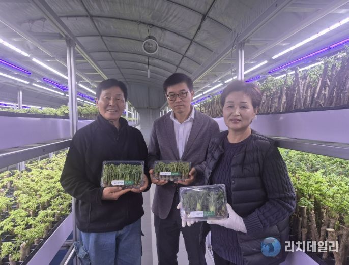 충주시, 두릅 수직 다단재배 기술 시범사업 추진