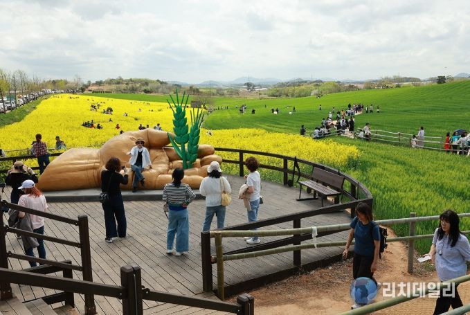 고창군, 4월18일 제23회 고창 청보리밭 축제 개막