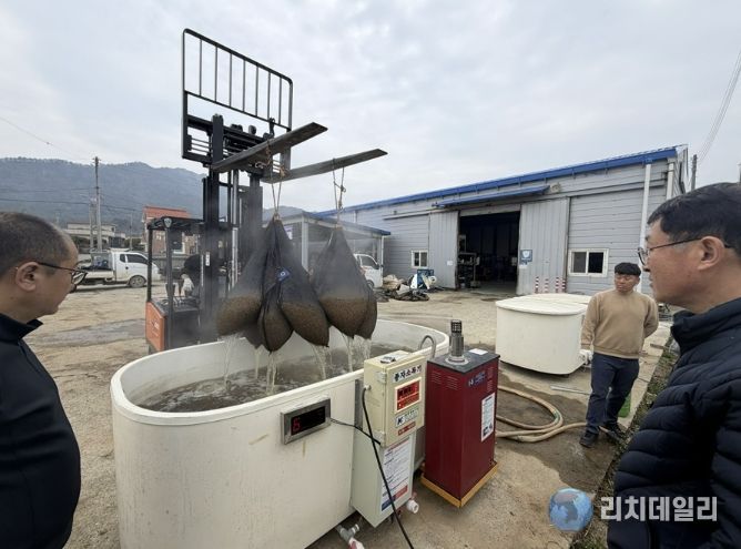 볍씨 종자 10kg 단위 10포대를 온탕소독기에 담가 소독하고 있다.