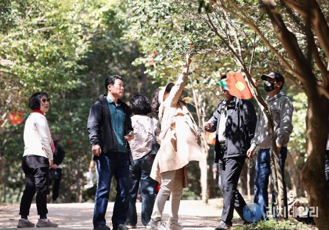 강진 백련사 동백축제 모습.