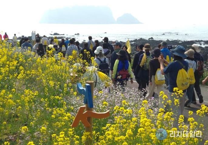 제28회 서귀포 유채꽃 국제걷기대회