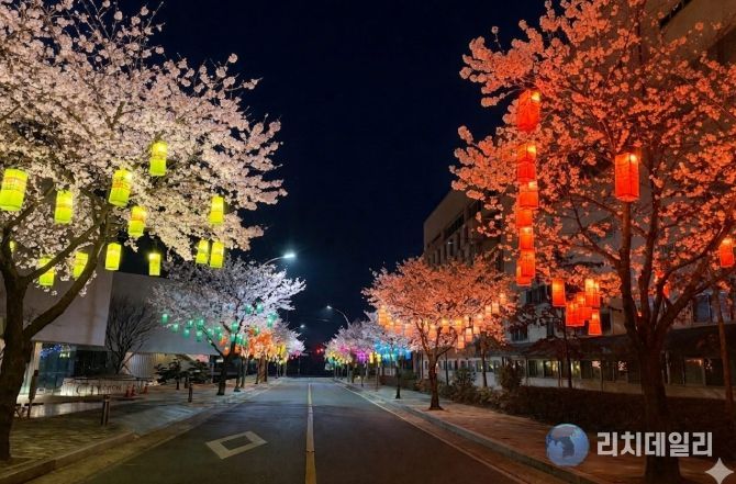 화사한 벚꽃·화려한 실크등 조화, 관광명소