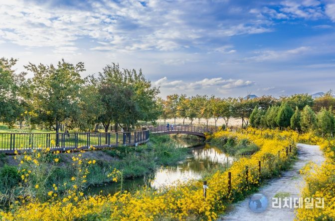 부안군, 줄포만 노을빛 정원 체험 프로그램