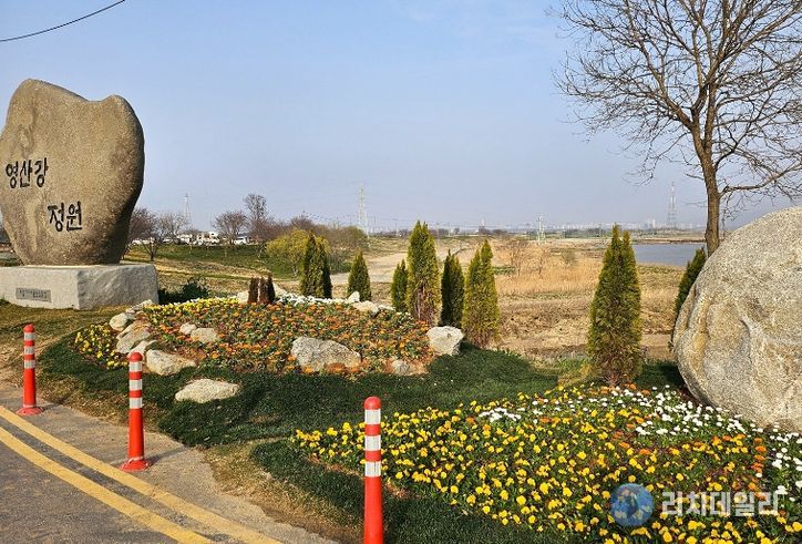 영산강정원 입구 화단에 팬지, 데이지 등 다양한 봄꽃이 관광객들을 맞이한다.