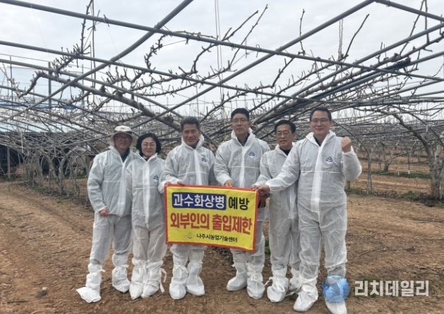 지난 24일 전남도 농축산식품국, 식량원예과, 아열대농업팀, 나주시 배원예유통과, 기술지원과 관계자들이 배 생육 상황 점검과 과수화상병 대응 추진 상황을 공유했다. (사진 제공-나주시)