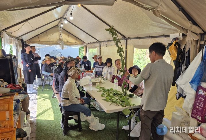 나주시가 2026년도 나주시농업인대학 ‘청년배전문반’ 교육생을 모집한다. 사진은 지난해 청년배전문반 교육 진행 모습.