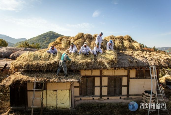 초가이엉 잇기 모습