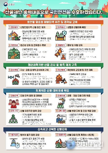 전국 산불방지 종합대책