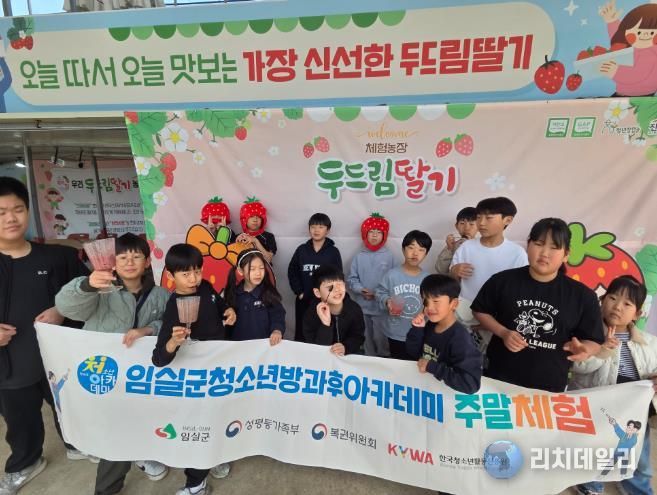 임실군 청소년방과후아카데미“딸기체험”운영으로 농촌의 즐거움 만끽
