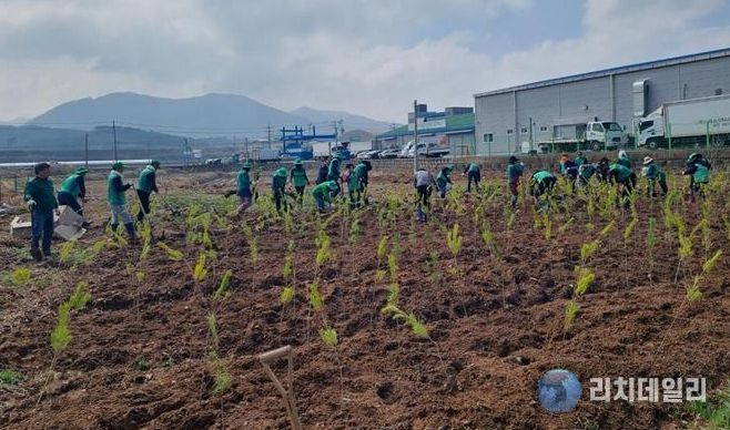 예산읍 궁평리 소나무 식재 활동