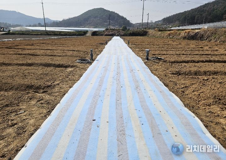 광양시, 4월 1일 도시민 주말농장 개장