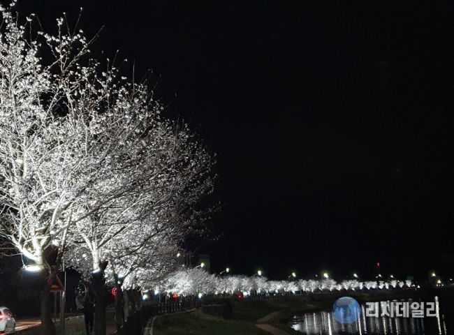 곡성군 옥과천, 빛으로 물들다