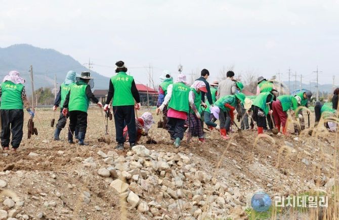 화순군새마을회 ‘10만 그루 나무 심기’ 행사에서 회원들이 나무를 심고 있다