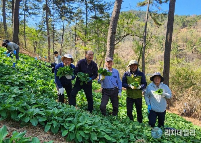 산촌 일손 돕기 행사