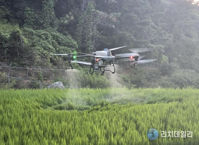 김천시, 드론 활용 농작물 「스마트 방제」로 농촌 일손 돕는다-기술지원과(사진2_벼방제).