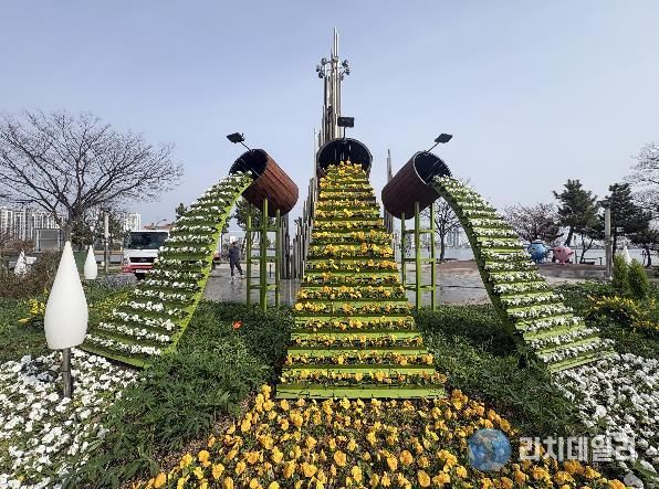 속초시 사계절 꽃으로 덮인 속초…청초호 봄꽃 화단 조성 완료