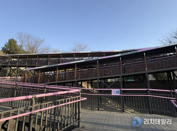 원미산 진달래동산 ‘무장애 데크로드’ 조성 모습