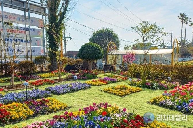 학교 숲(우리들의 초록 정원)