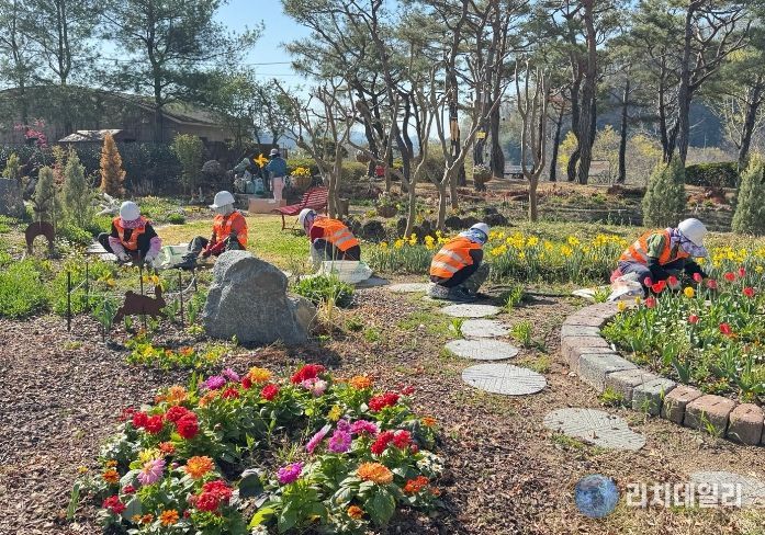 합천군, 봄맞이 녹지공간 정비‘박차’…도심 곳곳 생기 더한다